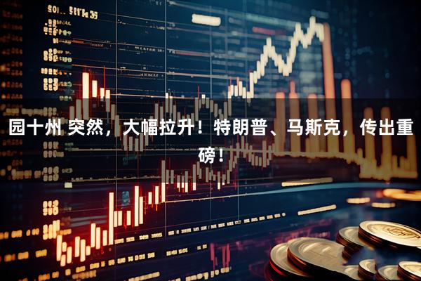 园十州 突然，大幅拉升！特朗普、马斯克，传出重磅！