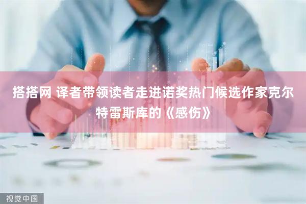 搭搭网 译者带领读者走进诺奖热门候选作家克尔特雷斯库的《感伤》