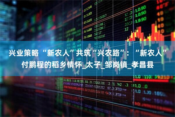 兴业策略 “新农人”共筑“兴农路”：“新农人”付鹏程的稻乡情怀_太子_邹岗镇_孝昌县