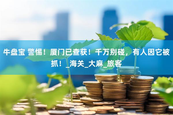 牛盘宝 警惕！厦门已查获！千万别碰，有人因它被抓！_海关_大麻_旅客
