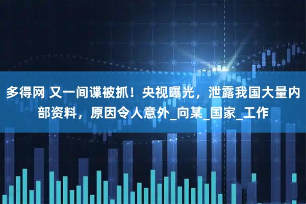 多得网 又一间谍被抓！央视曝光，泄露我国大量内部资料，原因令人意外_向某_国家_工作
