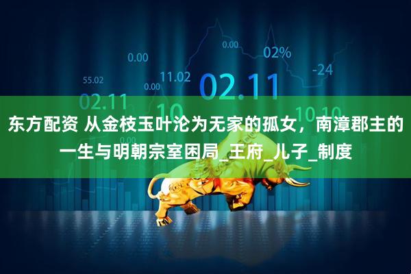 东方配资 从金枝玉叶沦为无家的孤女，南漳郡主的一生与明朝宗室困局_王府_儿子_制度