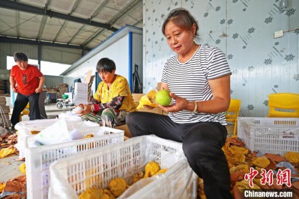 宏源证券 湖北枝江：以“梨”为媒铺就乡村振兴路