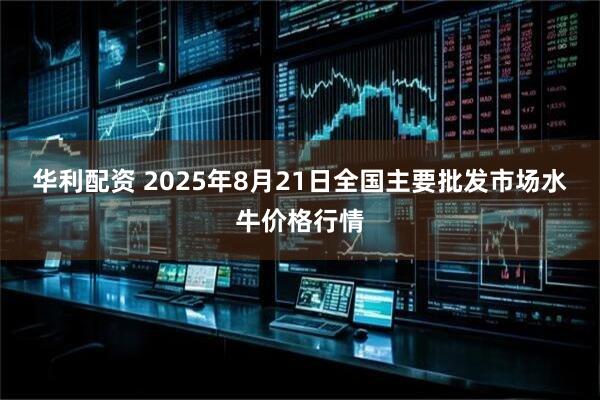 华利配资 2025年8月21日全国主要批发市场水牛价格行情