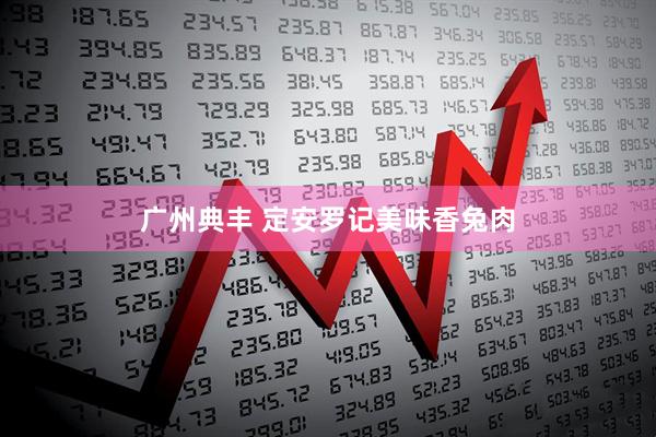 广州典丰 定安罗记美味香兔肉