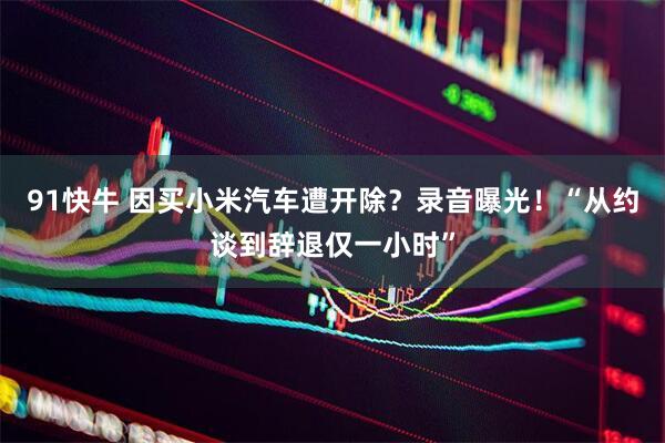 91快牛 因买小米汽车遭开除?录音曝光!“从约谈到辞退仅一小时”